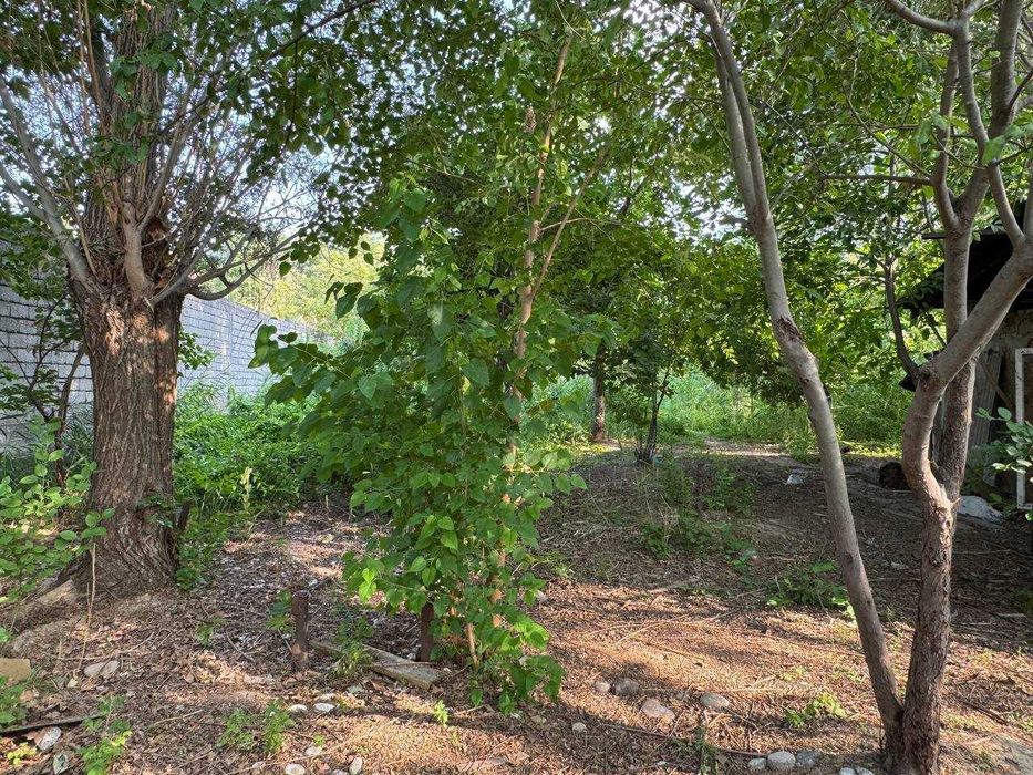 Продается Участок 24 сот, Мирзо Улугбек, Ботанический сад (87648)