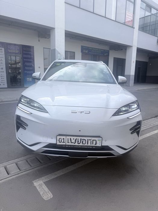 Byd chempion  SMART 2025