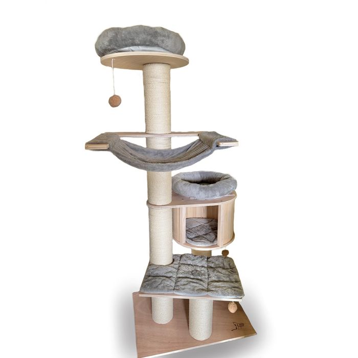 Голяма котешка катерушка - Мейн Куун