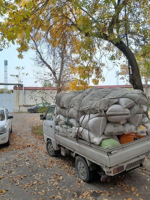 Musir olib ketamiz мусор вивоыз    Labo va changan