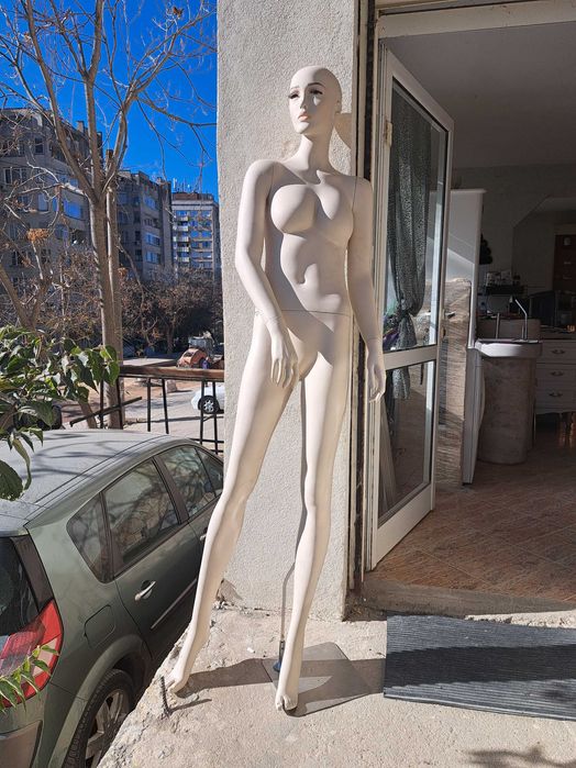 Дамски/Мъжки манекени