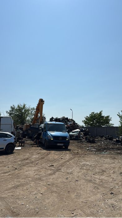 Colectăm rable auto la cel mai bun pret!