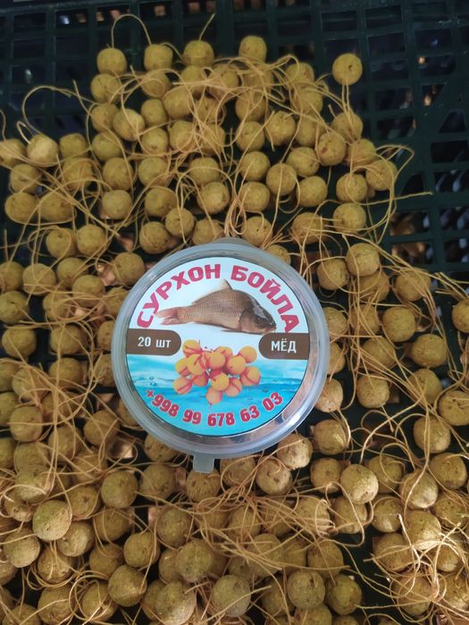 Boyla Baliq ovi uchun