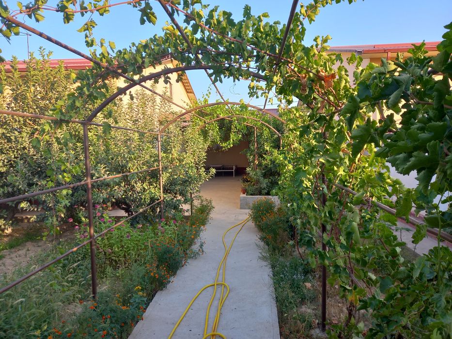 Сотилади  Коттеж