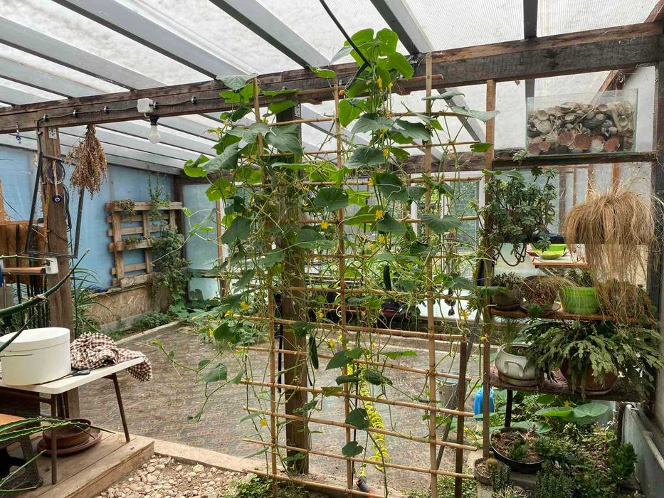 Продава се Къща в с. Кърнаре, Област Пловдив - 130 кв.м за 1039 €/кв.м - Снимка #16