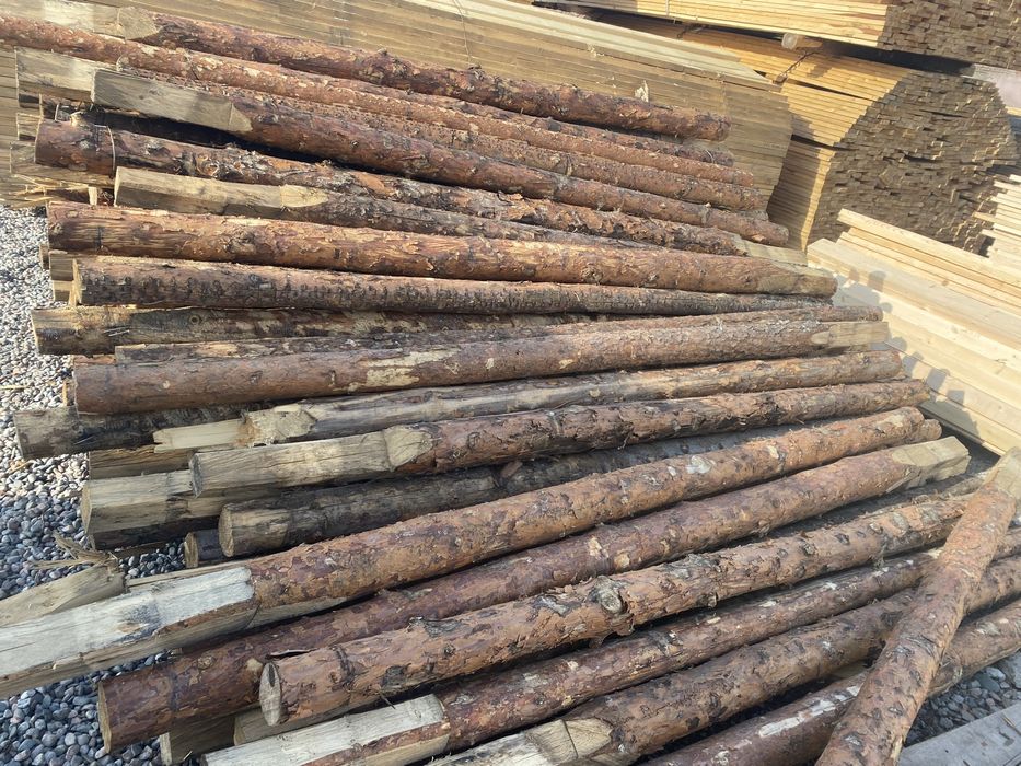 Кругляк сосна береза