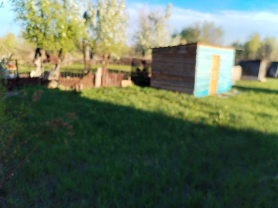 Продам на мирном дачу