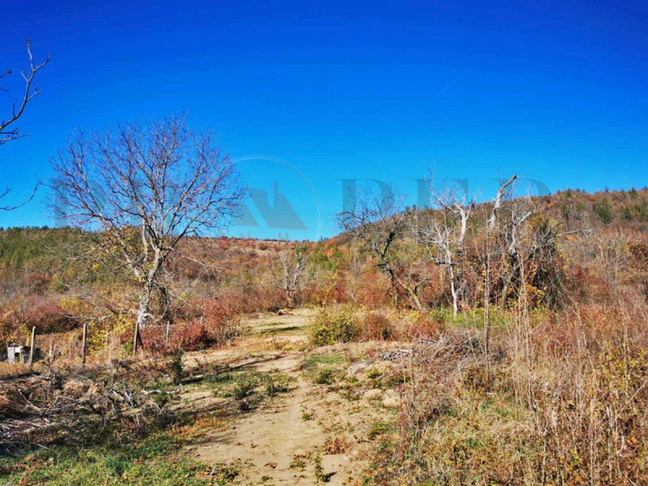 Продава се Парцел в Дебелец - 1096 кв.м за 57 €/кв.м - Снимка #3