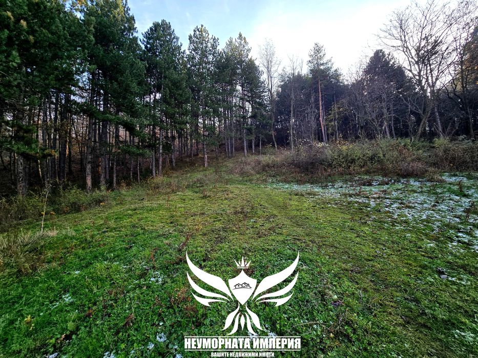 Продава се Парцел в с. Тополово, Област Пловдив - 1280 кв.м за 22 €/кв.м - Снимка #9