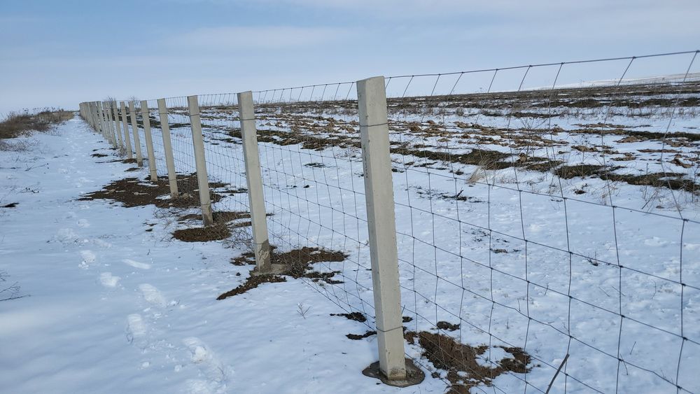 Столбы,  пасынка, (қада), стойки из бетона