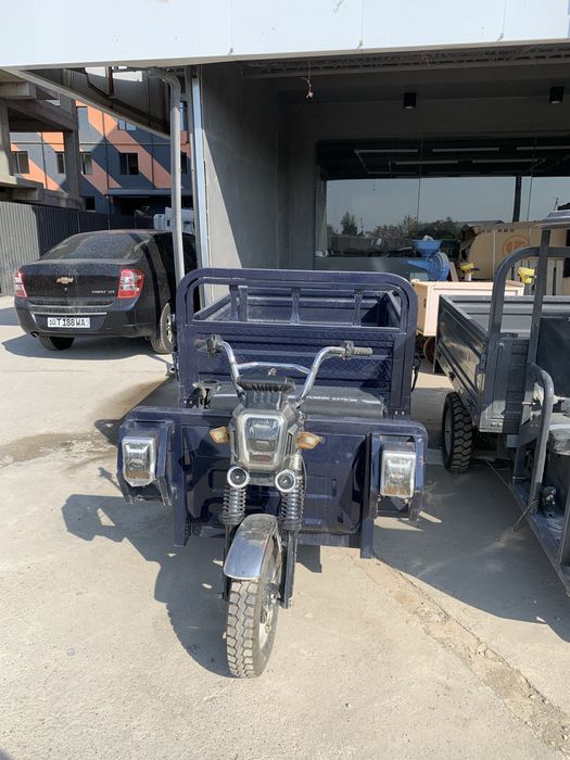 Муравей (muravey)