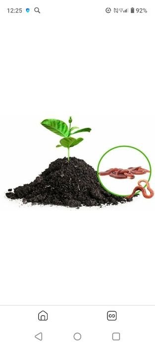 БИОГУМУС биогомос