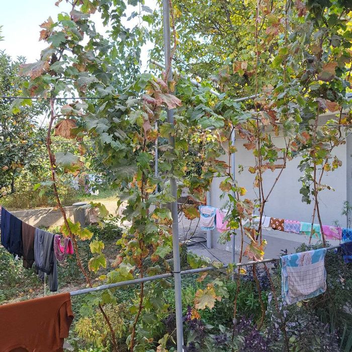 Продается участок 5.4 соток, 5,4 sotih uchastka sotiladi!