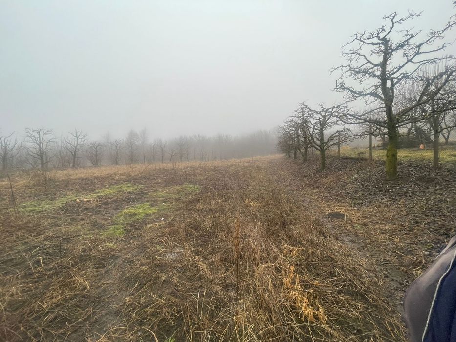 Teren intravilan 3600 mp – Str. Lovinescu, Rădășeni, utilități