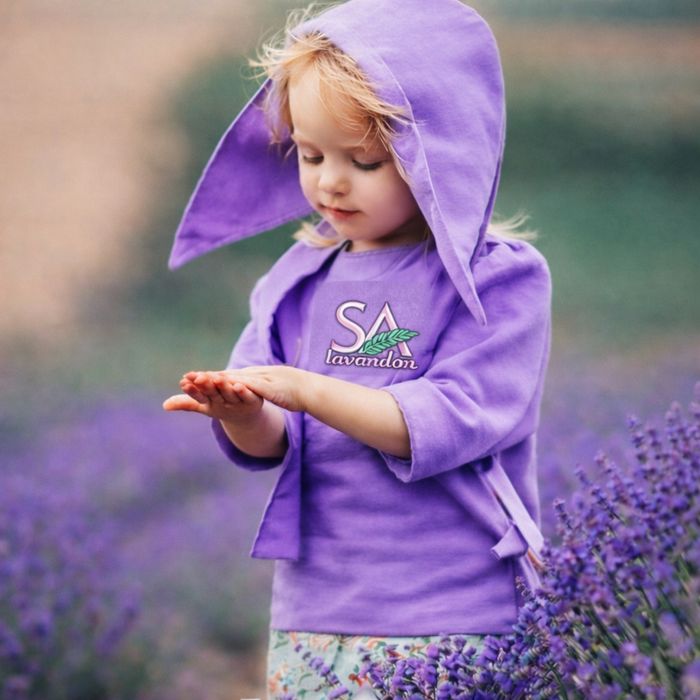 Разсад лавандула и лавандин ароматни растения от производител