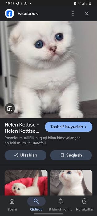 Porno xitoylik ayol va olomonni ushlaydi