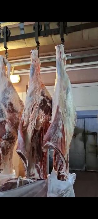Говядина корова 1 категории оптом замороженная в полутушах под заказ