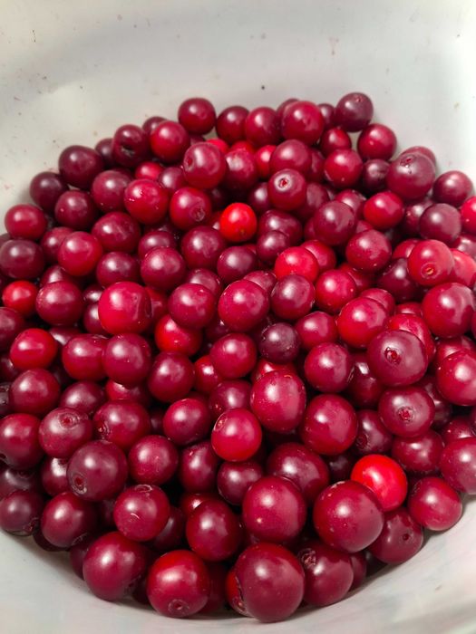 Продам вишню домашнюю