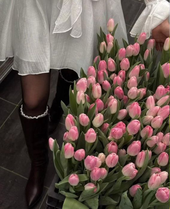 Гул, Цветы, Тюльпаны 8 МАРТА