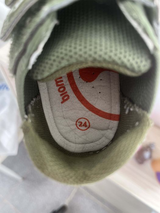 Biomecanics 24 номер