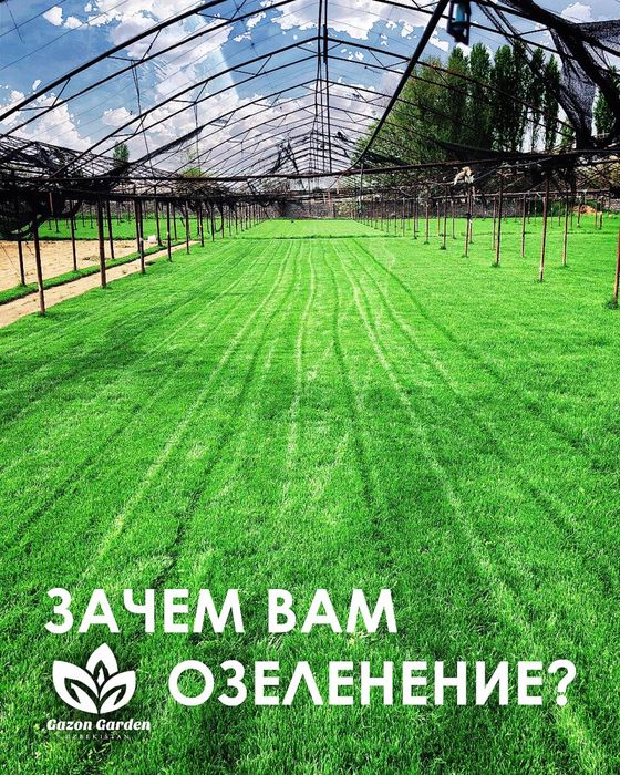 Услуги газона , Gazo’n Hizmati