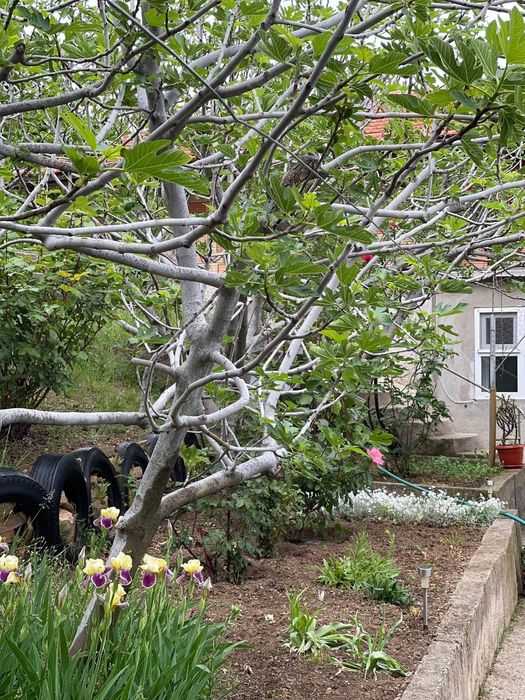 Продава се Къща в Сливен, в.з. Сливен - 55 кв.м за 1182 €/кв.м - Снимка #7