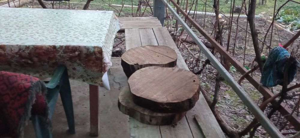 Орех и шайби от ореха