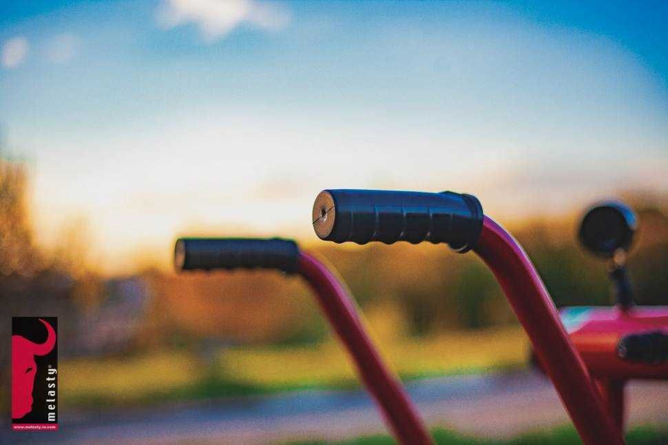 Semiz fohishalarning eshaklari