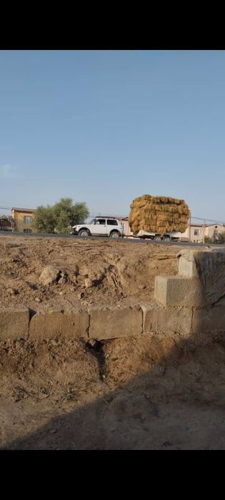 Mashina zur ozim xayadab yurgan