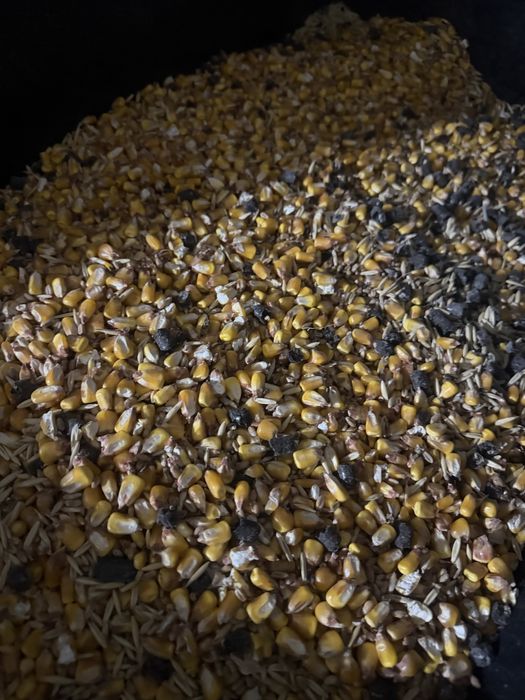 Huruiala pentru animale