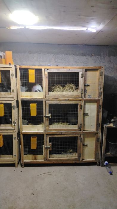 Quyon qafas yasab beriladi Siz aytgan ramerda