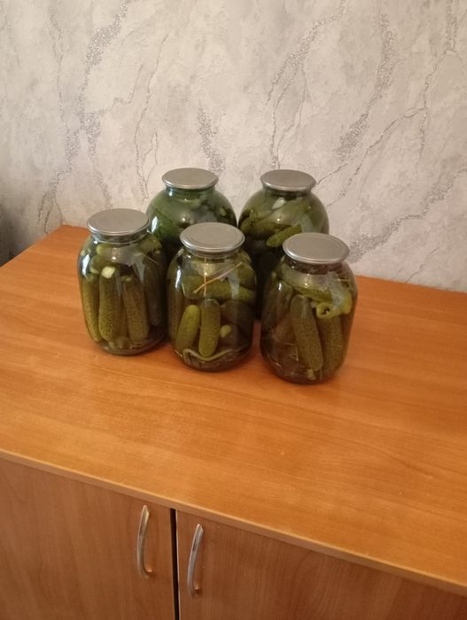 Продам соленые помидоры .