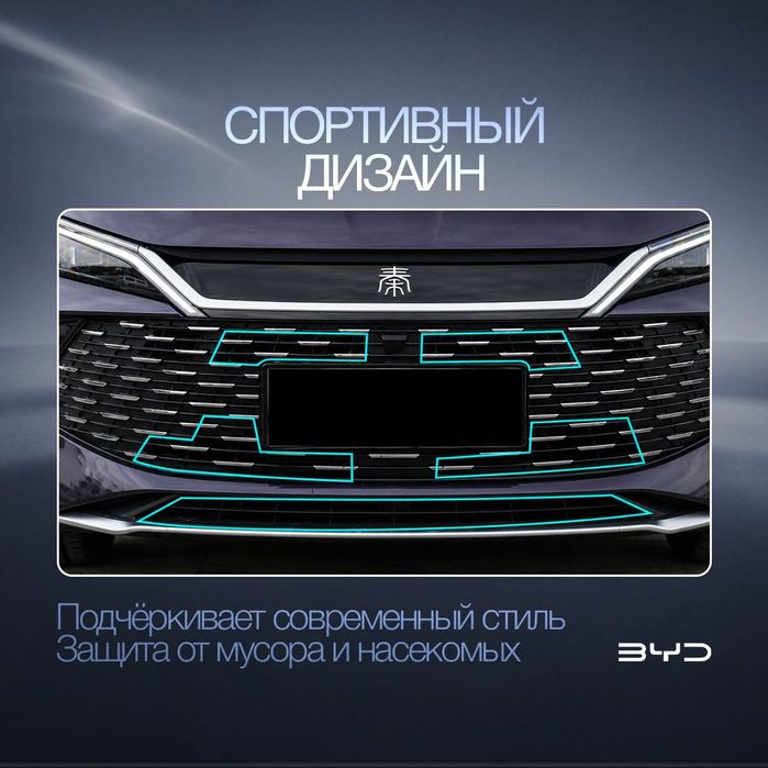 Радиаторная сетка для BYD Seal 6