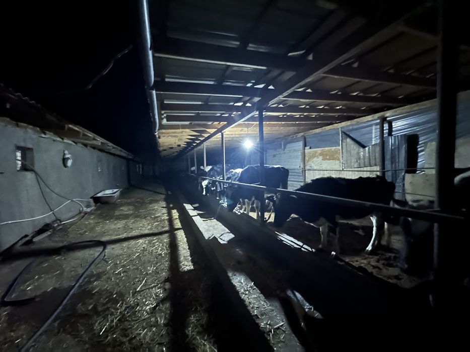 Ferma sotiladi 30 tonnalik marazelnik 10 000 ta broler boqishga joy bo