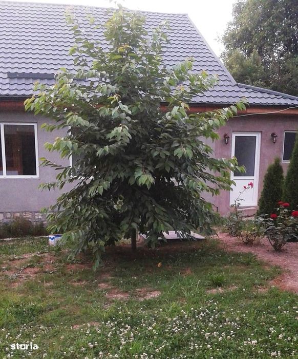 Casa superba in com Barsesti jud Vrancea Comision 0%