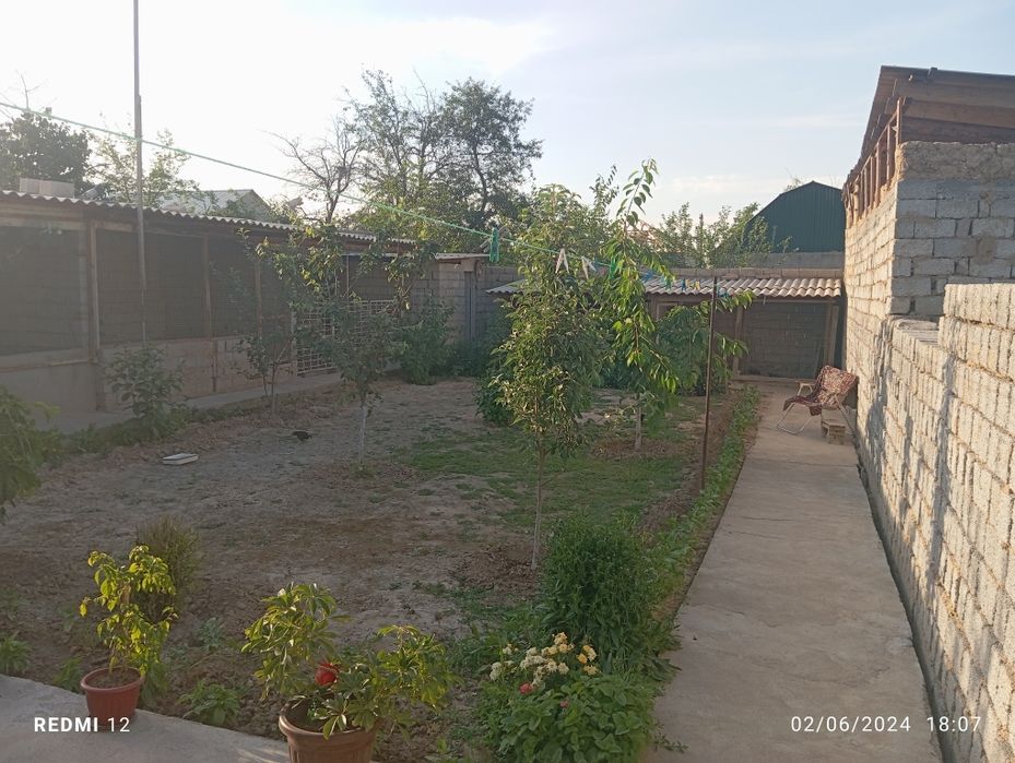 Дала ховли сотилади Куш кундида