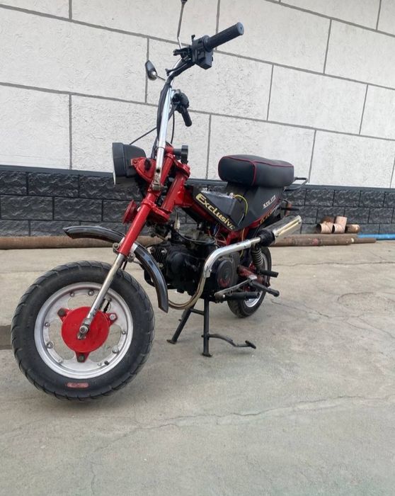 Maped mini 1999 yili