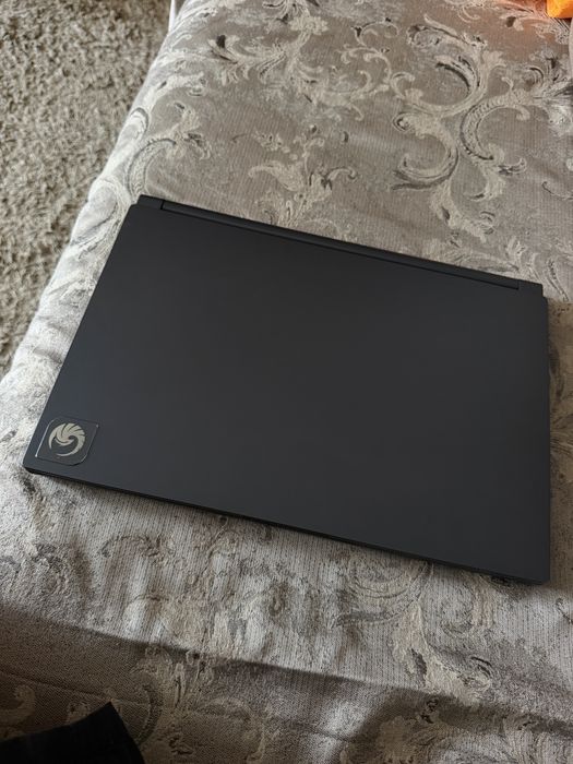 MSI Delta 15 Ryzen 7 5800H / RX 6700M / 32GB RAM – display defect