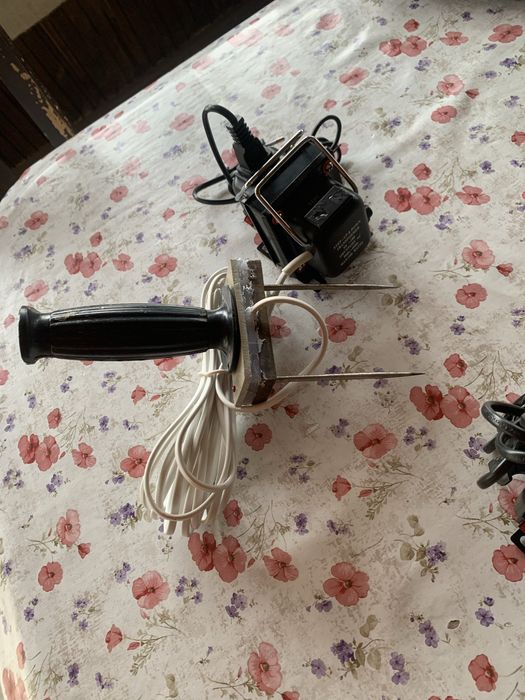 Asomator porci animale