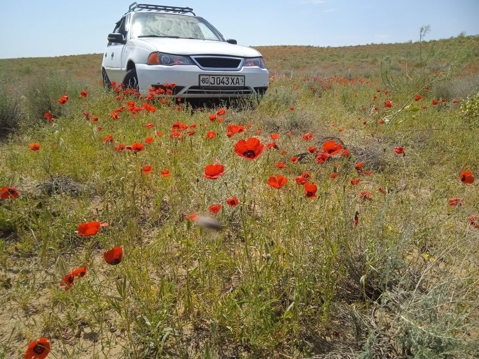 Nexia 1 xolati zoʻr