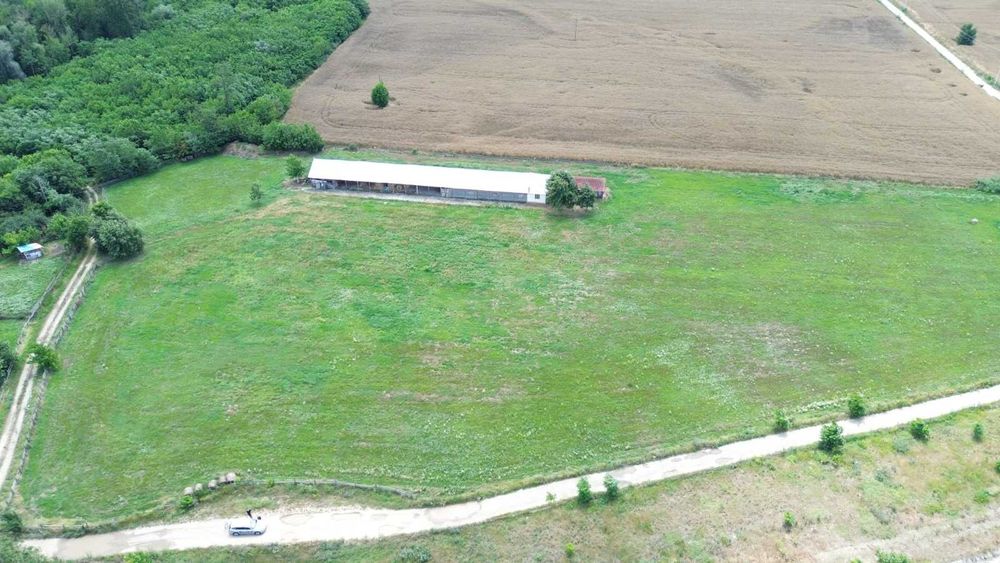 Teren și saivan animale 2ha