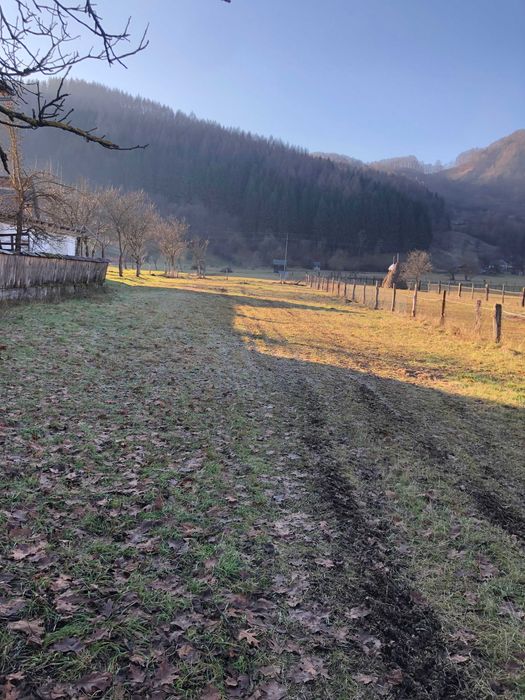 De Vanzare Extra Vilan 3000mp. Livada cu acces din strada,Gradina