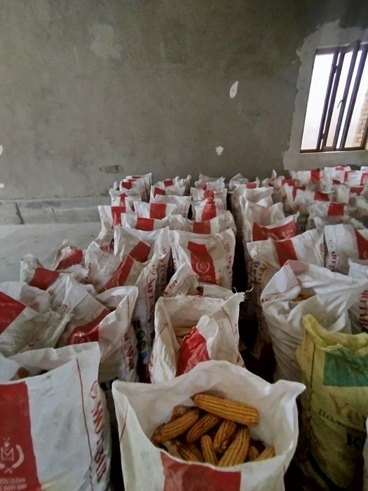 Makkajoʻxori sõtasi