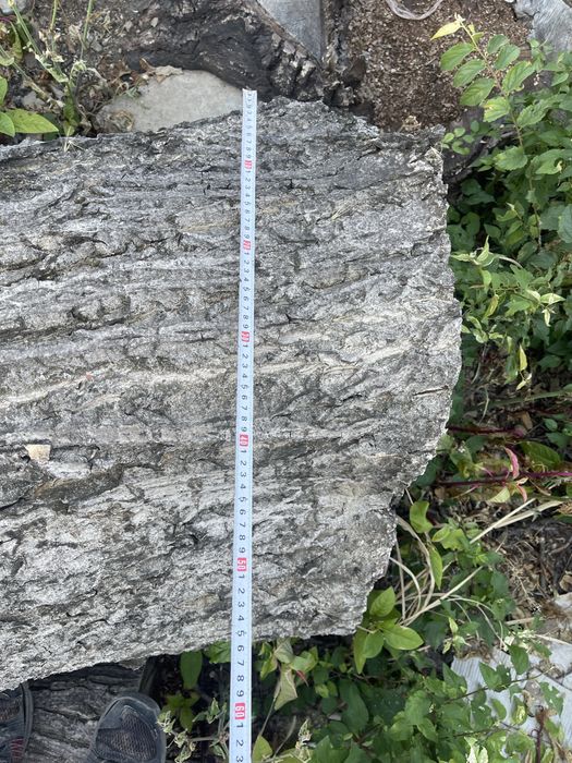 Орех-дърво на трупи