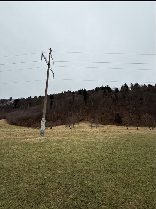 Teren 7300mp Valea Zizinului tarlungeni