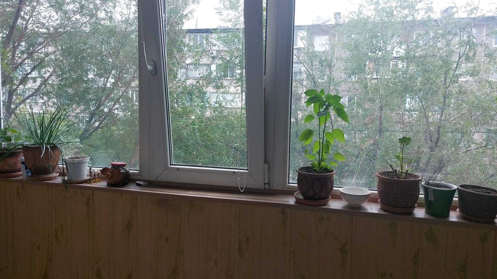 Продам 3 ком Момышулы 111