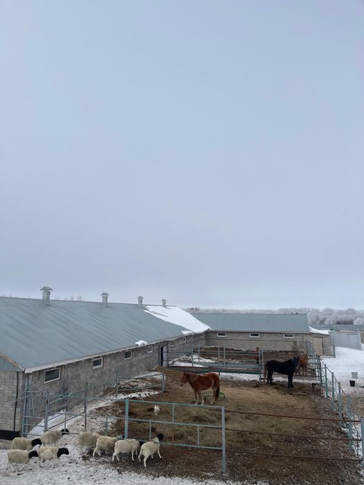 Продам дом и участок