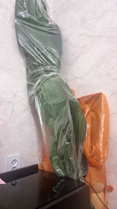 Искусственное растение-пальма