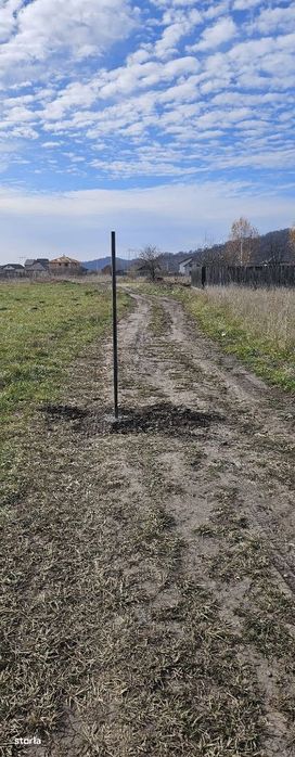 Teren cu PUZ aprobat - case, 6 loturi, suprafata 4054 mp, Harman.