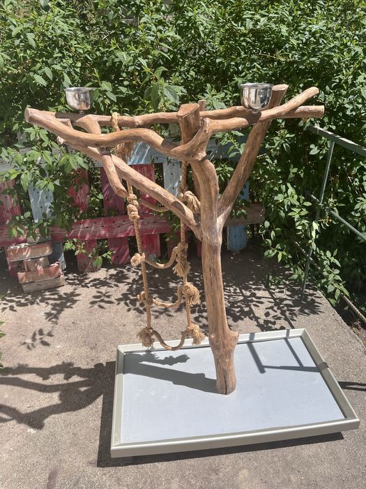 Кацалка за птици,папагал